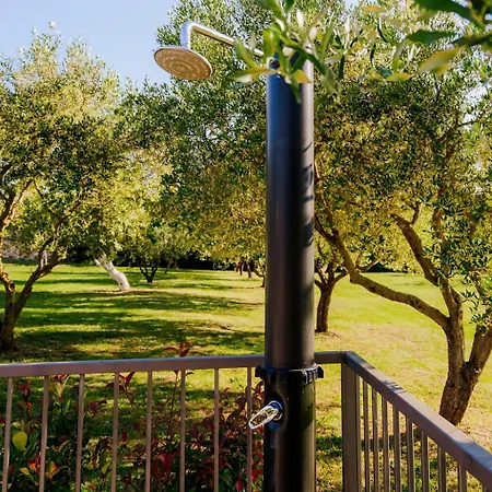 Guest house Mit Pool 3*