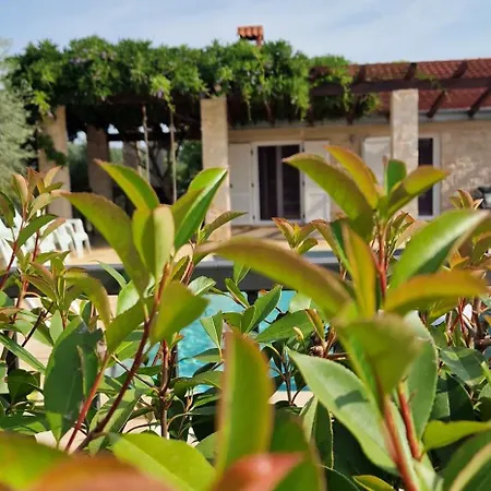 Guest house Mit Pool Rovinj