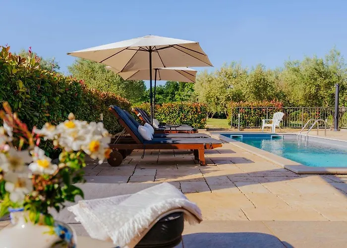 Mit Pool Гостевой дом