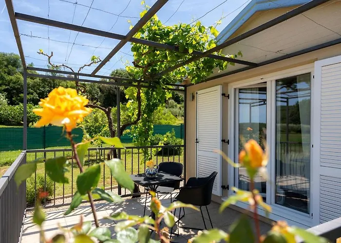 Mit Pool Гостевой дом