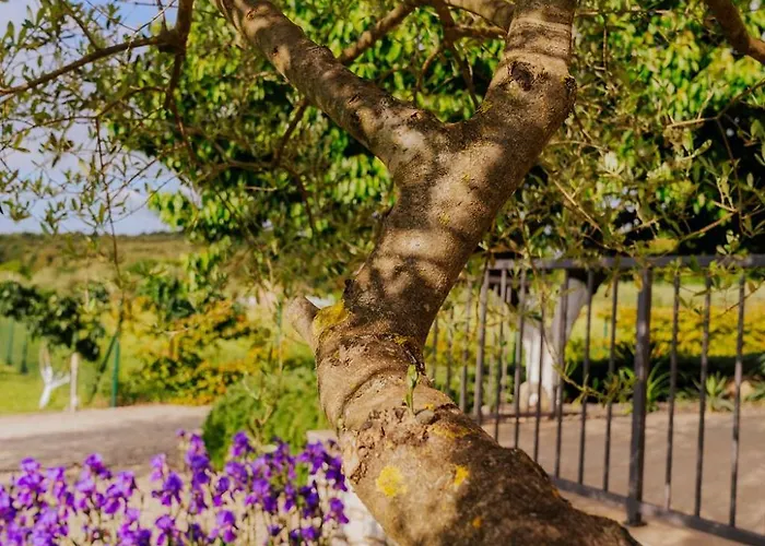 Гостевой дом Mit Pool Ровинь