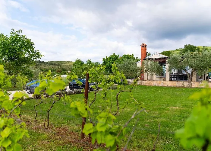 Mit Pool Гостевой дом 3*