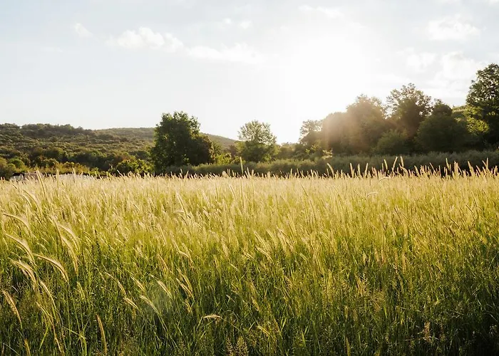 Mit Pool Гостевой дом