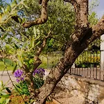 Mit Pool ロヴィニ