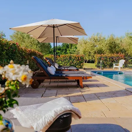 Mit Pool Guest house