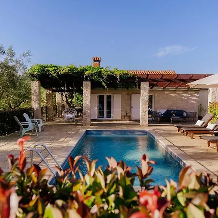 Mit Pool Guest house 3*