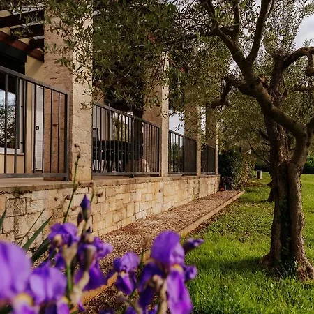 Mit Pool Guest house Rovinj